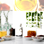 Top 7 Tourist Attractions to Visit in Dubai