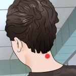 5 Most Visited Gardens in Singapore