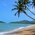 How to stay healthy when you are working from Home