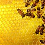 The Amazing Secret to Happiness