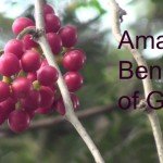 Know the Home Remedies for Sinus Relief