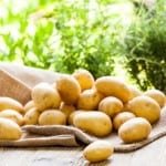 9 Good habits of happy people