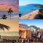 5 Surprising Facts You May Not Know About Laughter